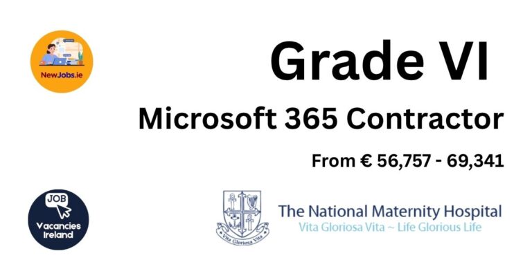 grade vi microsoft 365 contractor