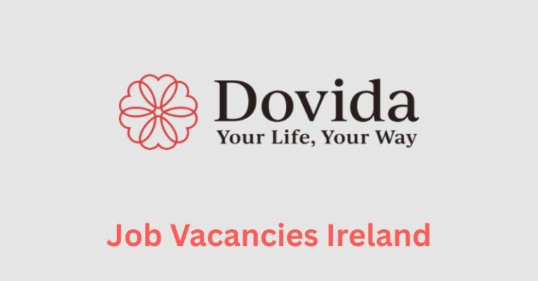 dovida job vacancies