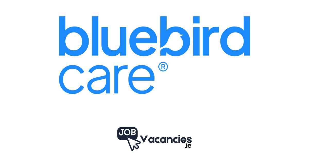 bluebird care job vacancies