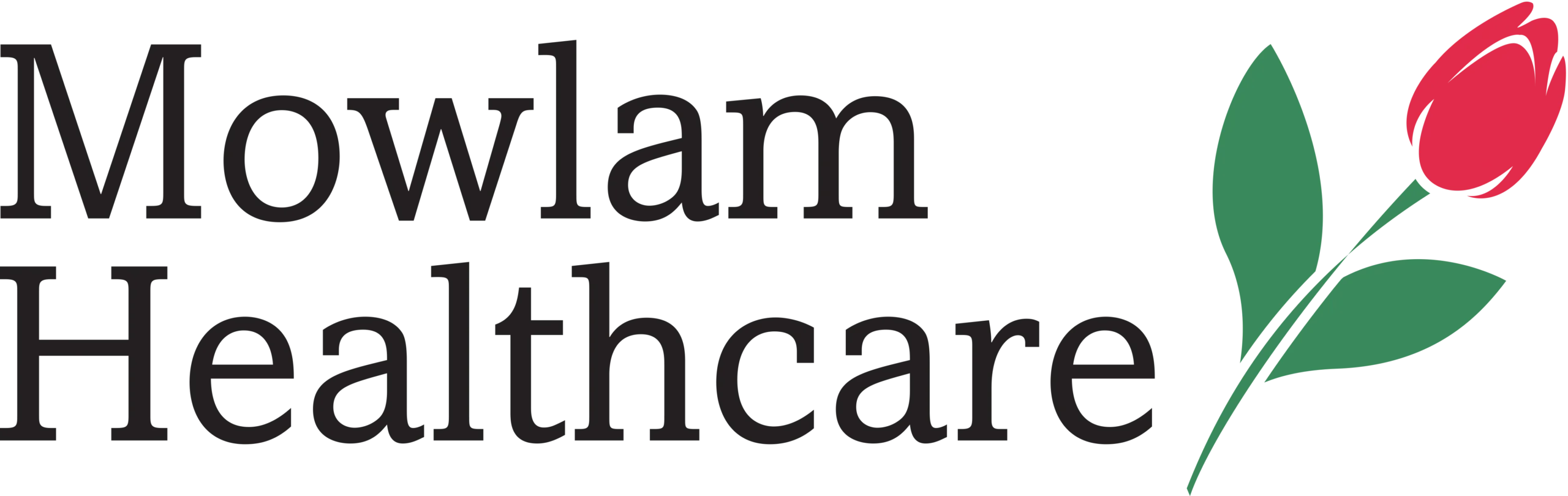 Mowlam Healthcare