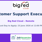 Customer Support Executive at Big Red Cloud — Remote