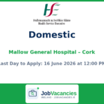 Domestic Job at Mallow General Hospital, Cork