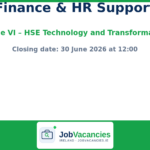 Grade VI Finance and Human Resource Support — HSE Technology and Transformation