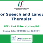 Senior Speech and Language Therapist — Cork University Hospital