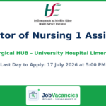 Director of Nursing 1 Assistant – University Hospital Limerick